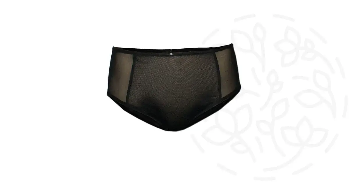 Nucleus ⋆ Super Flirtatious High Waisted Sheer Panties In Black