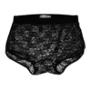 Nucleus Lace Boxer Briefs front view. Stretch polyester lace, Elasticated wide waistband, no central seams, lace gusset.