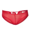 Peek a boo underwear set in red mesh panties front