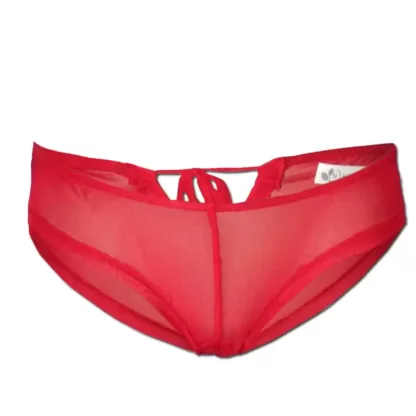 Peek a boo underwear set in red mesh panties front