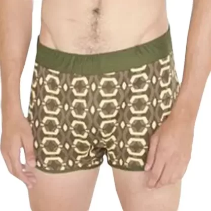Stand Out with Unique Boxer Briefs for Men in Retro Green. Model