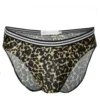 Apex Leopard Brief - Front View